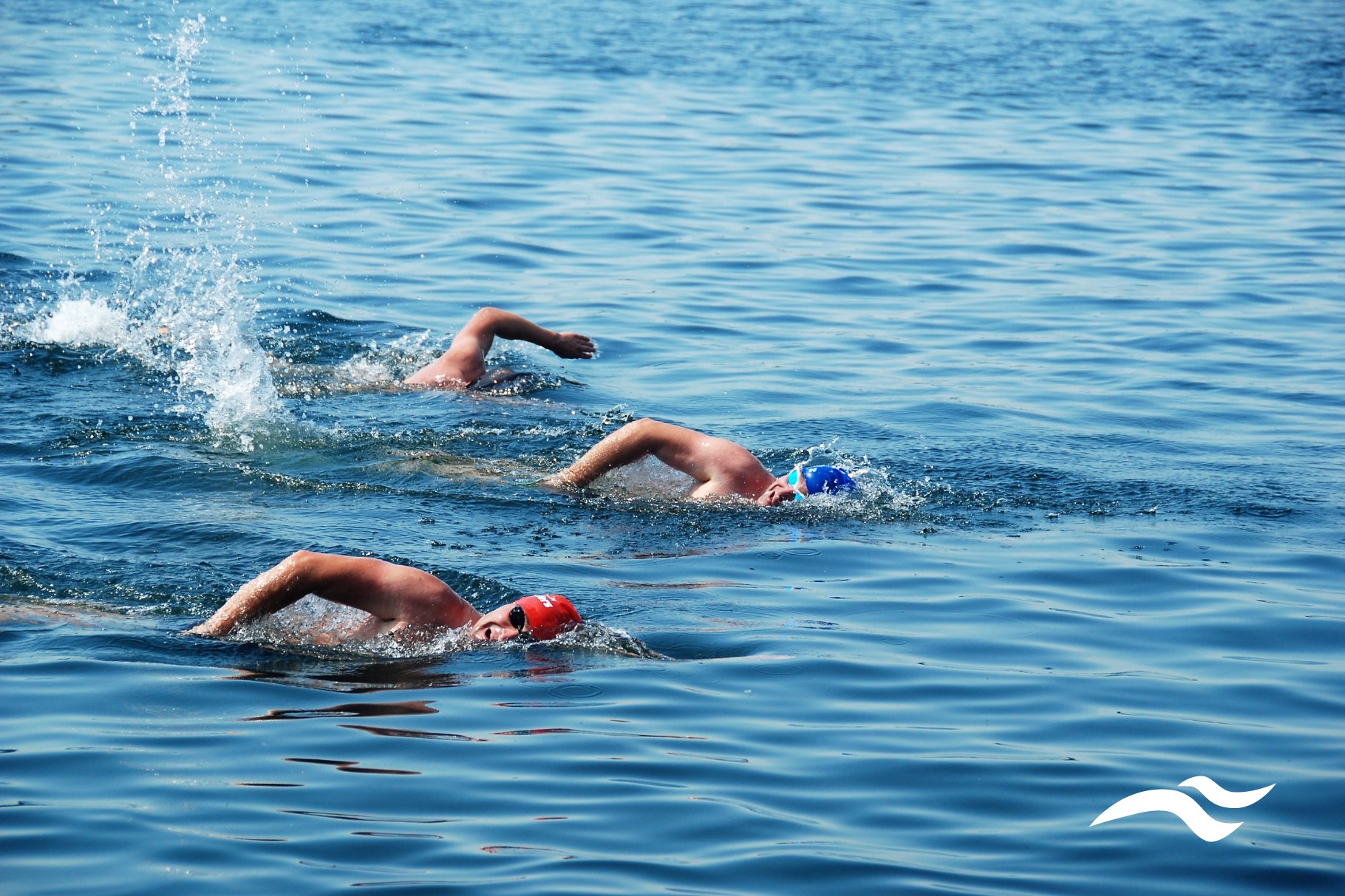 Open Water Challenge – cykl wydarzeń open water